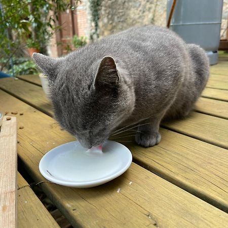 Sobrestany Santa Caterina - Dog Friendly With Garden 빌라 외부 사진