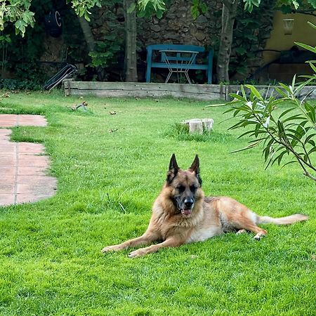 Sobrestany Santa Caterina - Dog Friendly With Garden 빌라 외부 사진