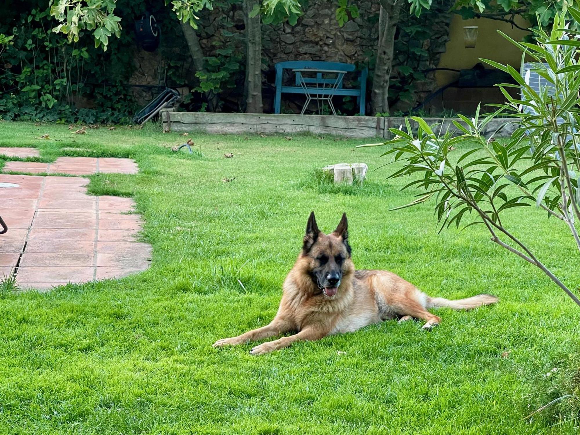 Sobrestany Santa Caterina - Dog Friendly With Garden 빌라 외부 사진